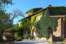 Italy-Tuscany-Chianti Hills Explorer